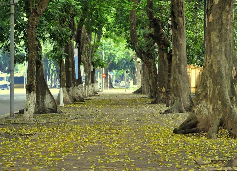 Zahrada ubytování Da Tree Homestay