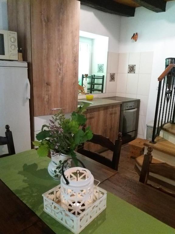 a kitchen with a table with a plant on it at Villa Malini in Grožnjan