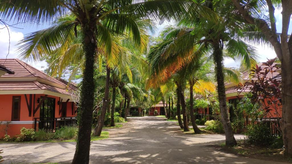 une route bordée de palmiers à côté d'un bâtiment dans l'établissement Tonkhao resort, à Ban Chuang