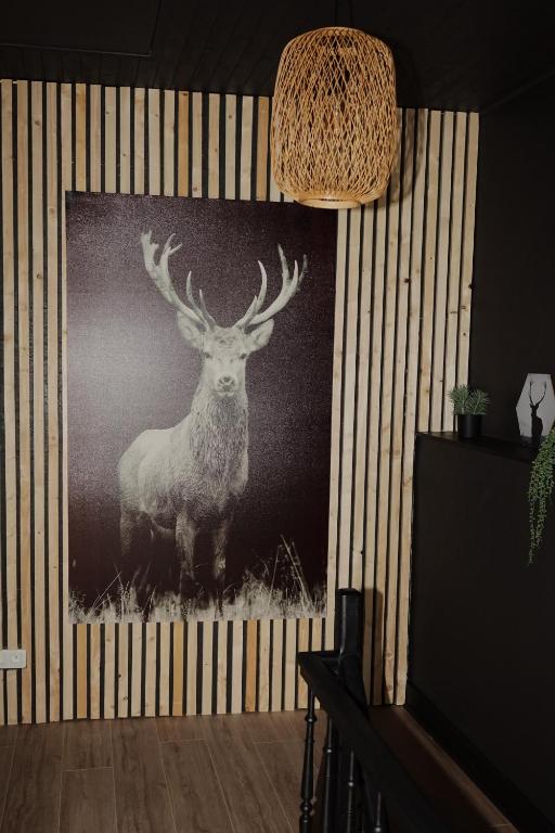 Fotografie z fotogalerie ubytování Le petit Chermont v destinaci Saint-Hubert
