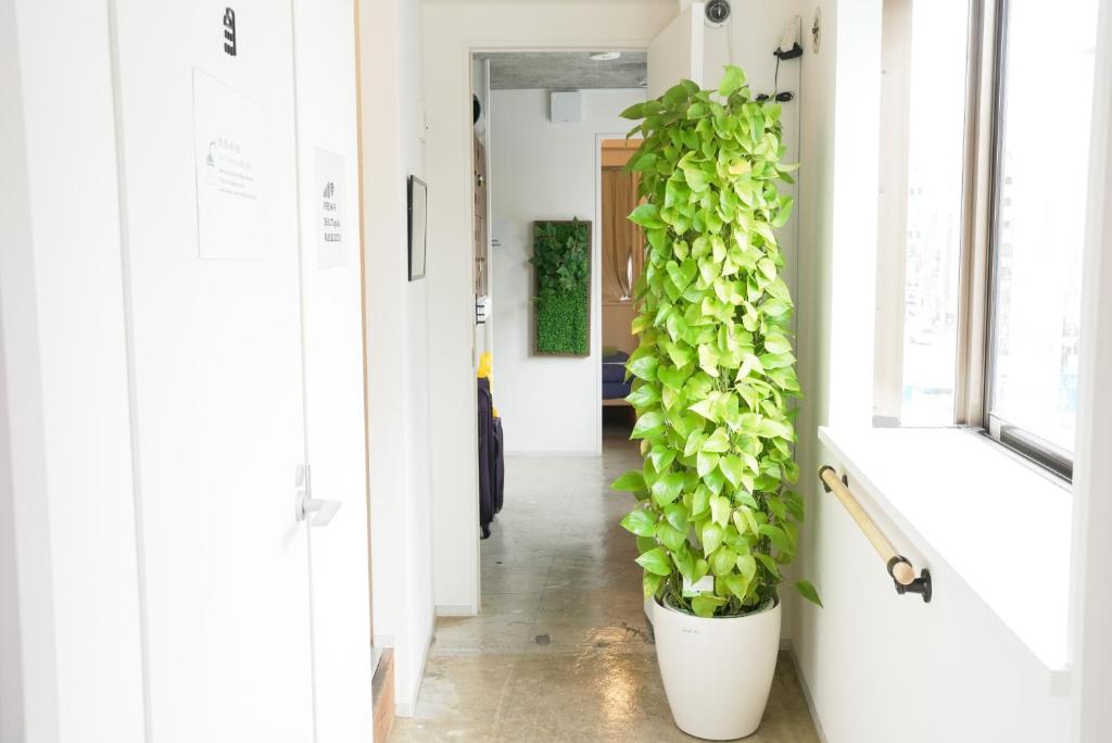 Foto sihtkohas Tōkyō asuva majutusasutuse Hostel Lodging Tokyo Uguisudani galeriist