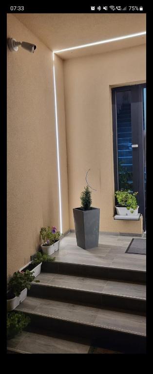 A garden outside Apartman Bajka