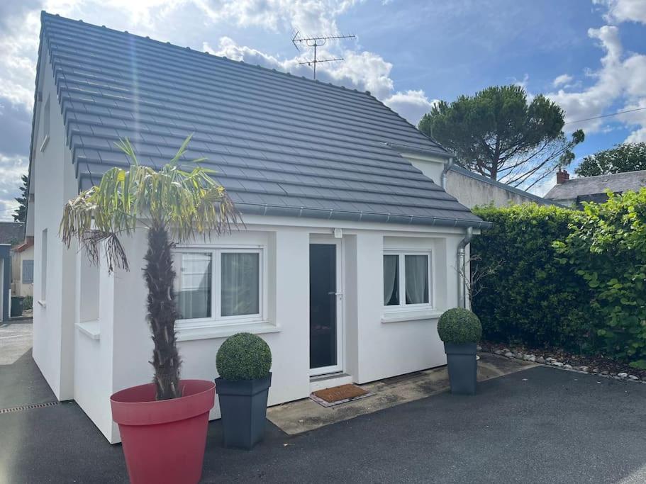 una casa blanca con una palmera delante en Villa Lenotre, en Bourges