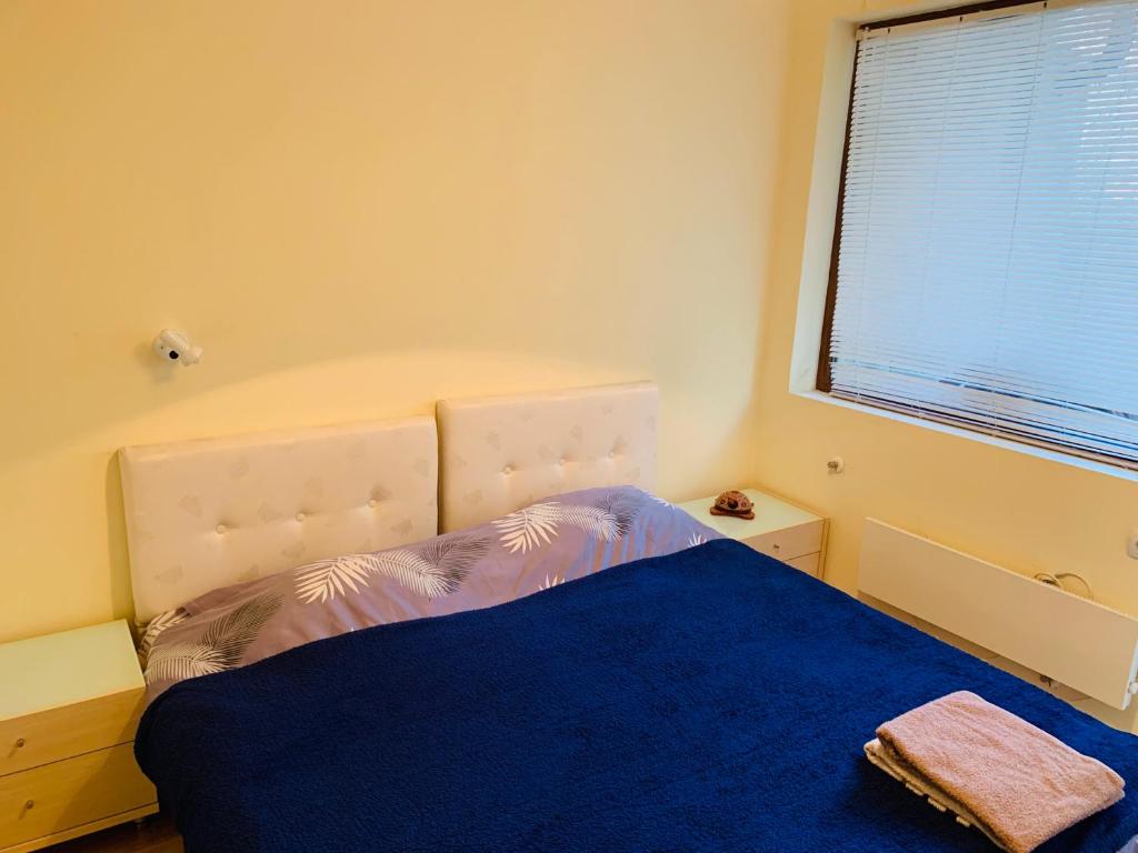 班斯科的住宿－Forest fairy tale，一间卧室配有一张带蓝色毯子的床和窗户。
