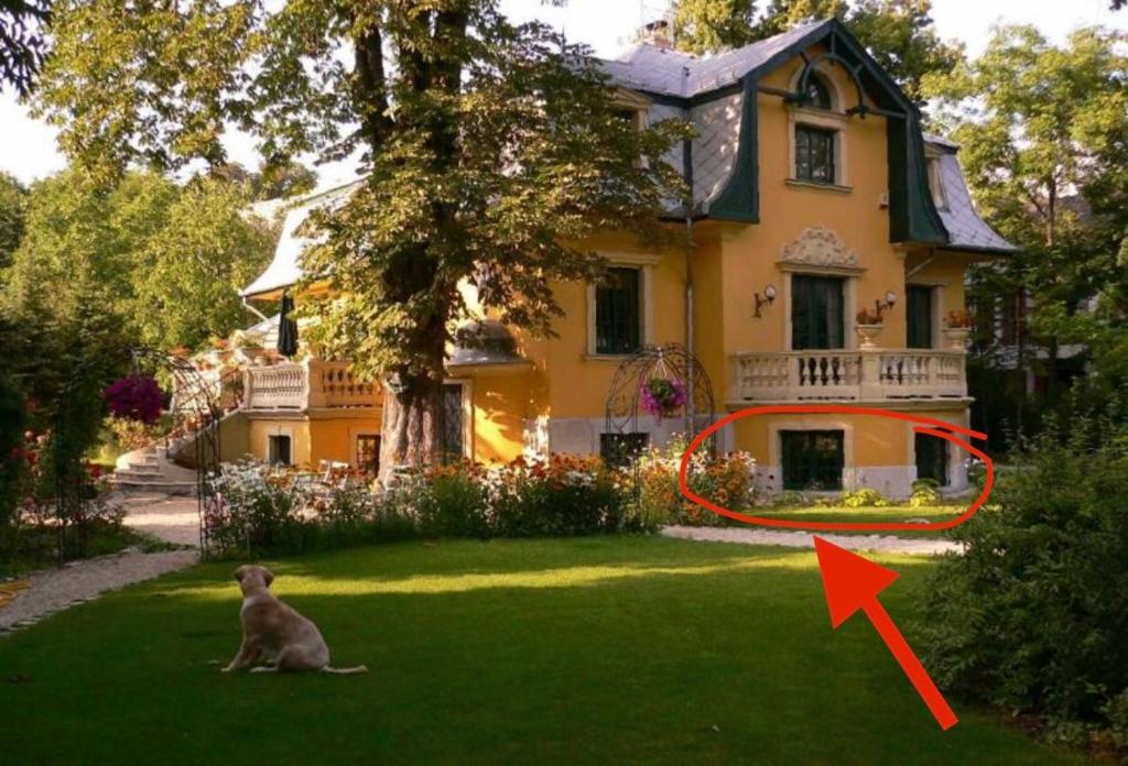 einem Hund, der im Gras vor einem Haus sitzt in der Unterkunft Buda Hills villa apartment in Budapest