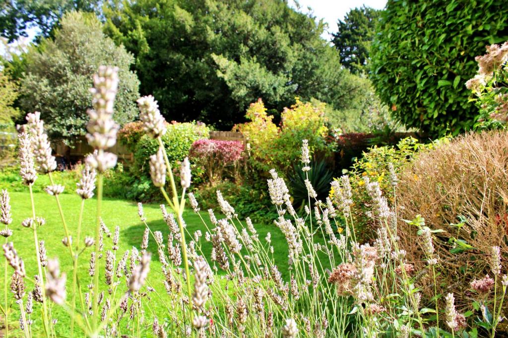 Victoria Square Hotel Clifton Village - Resim 39