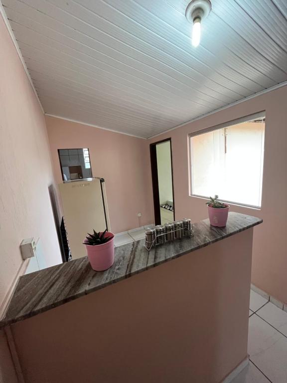 a kitchen with two potted plants on a counter at Kitnet ao lado do centro in Itabira
