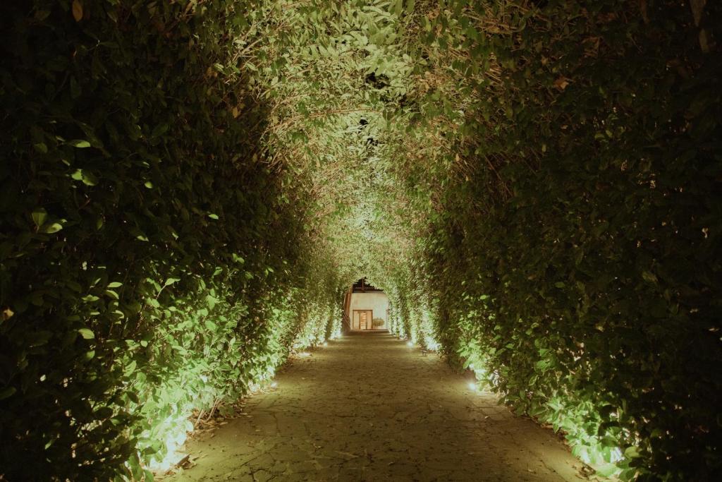 Zahrada ubytování Sotto Il Cielo Hotel