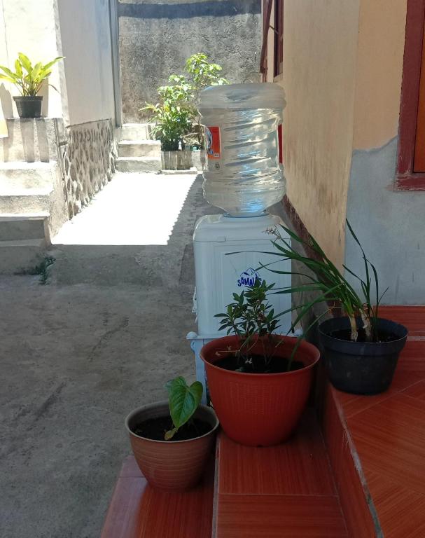 Fotografie z fotogalerie ubytování Radiya Guesthouse v destinaci Sembalun Lawang