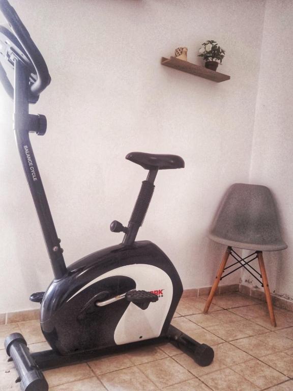 Fitness centrum a/nebo fitness zařízení v ubytování Argyro's vintage House