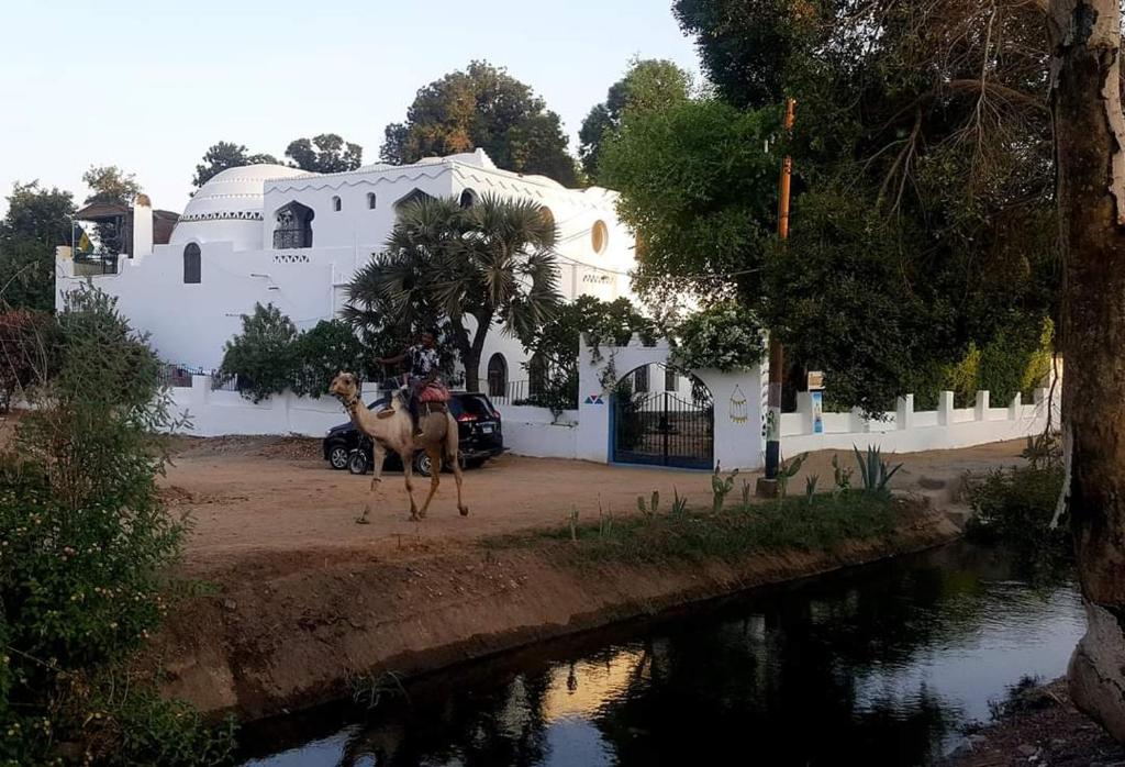 osoba jeżdżąca konno przed budynkiem w obiekcie Nubian Holiday House Aswan w mieście Aswan