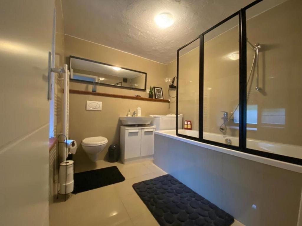uma casa de banho com um chuveiro, um lavatório e um WC. em Ferienhaus Dakaj - Einfamilienhaus em Trier