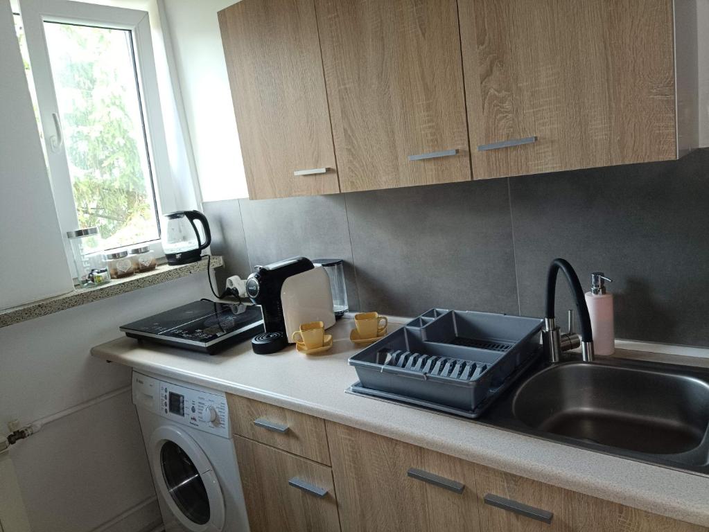 a kitchen with a sink and a washing machine at Apartament Leśny in Supraśl