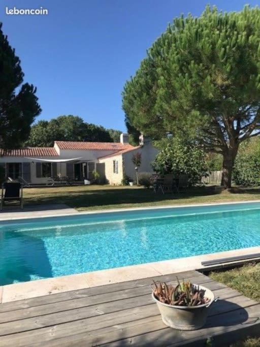 - une piscine avec un bol de plantes sur une terrasse en bois dans l'établissement Maison vendéenne à 5 min du bord de mer, à Saint-Hilaire-la-Forêt