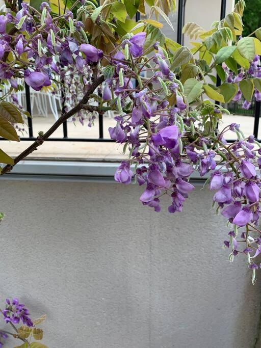 Villa des Fontaines luxury family home with pool - Appartement