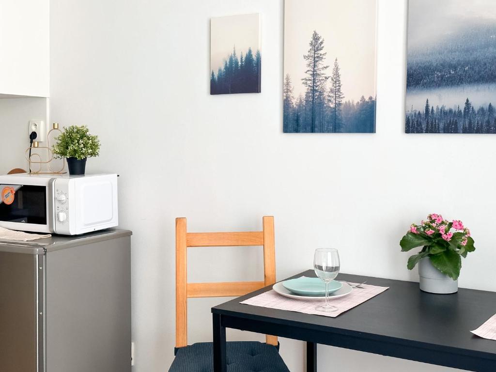 Kuchyň nebo kuchyňský kout v ubytování ELSO apartments