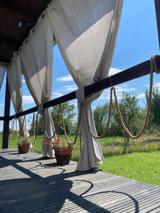 a tent with potted plants on a wooden deck at Green Hills Sibiu in Sibiu