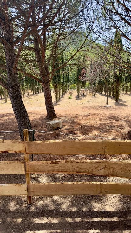 Fotografie z fotogalerie ubytování Superbe Roulotte de charme v destinaci Bagnols-en-Forêt