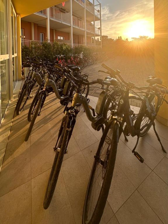 Jízda na kole v ubytování Hotel Bella Lazise nebo okolí
