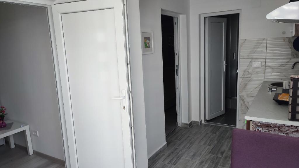 Kuchyň nebo kuchyňský kout v ubytování Apartman Bogdanovic