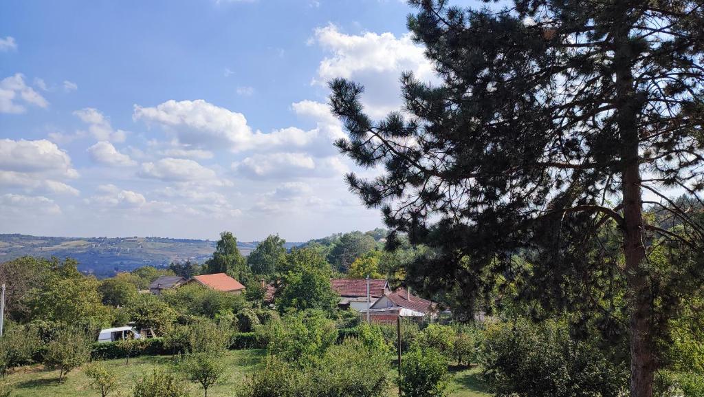 Příroda nedaleko apartmánu
