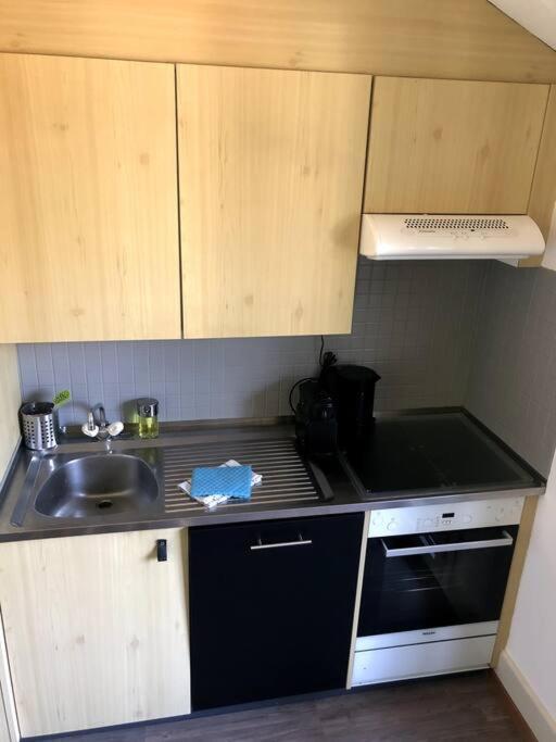 una piccola cucina con lavello e fornello di Charmant studio idéalement situé a Gryon