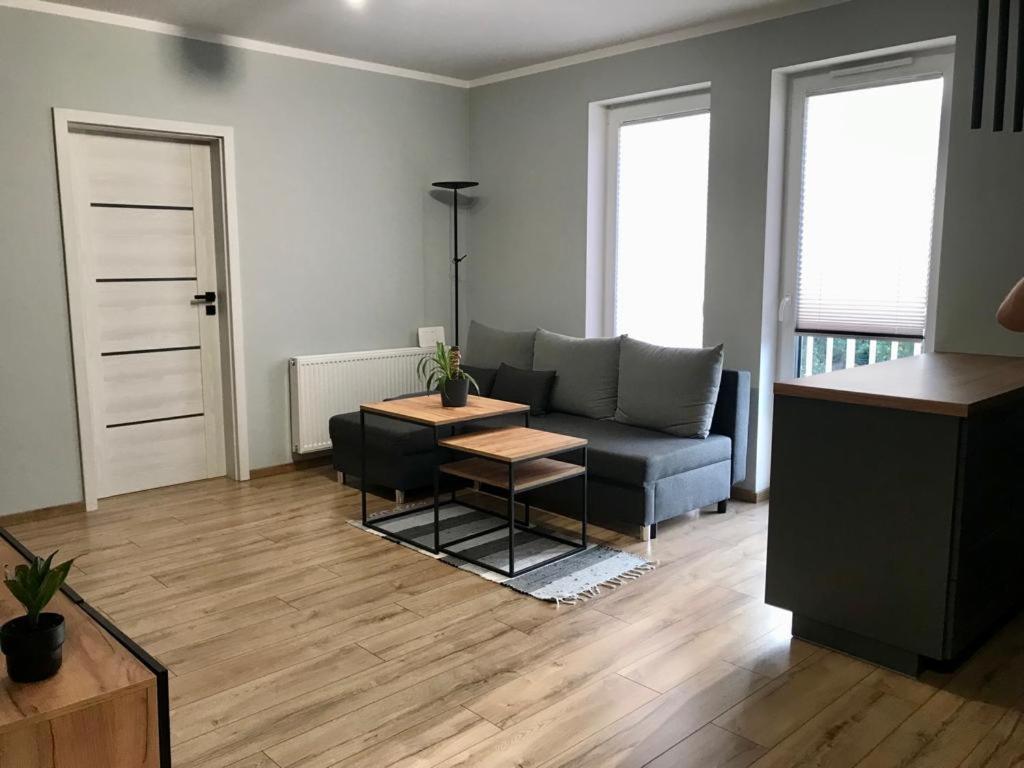 Χώρος καθιστικού στο APARTAMENT DĘBOWY