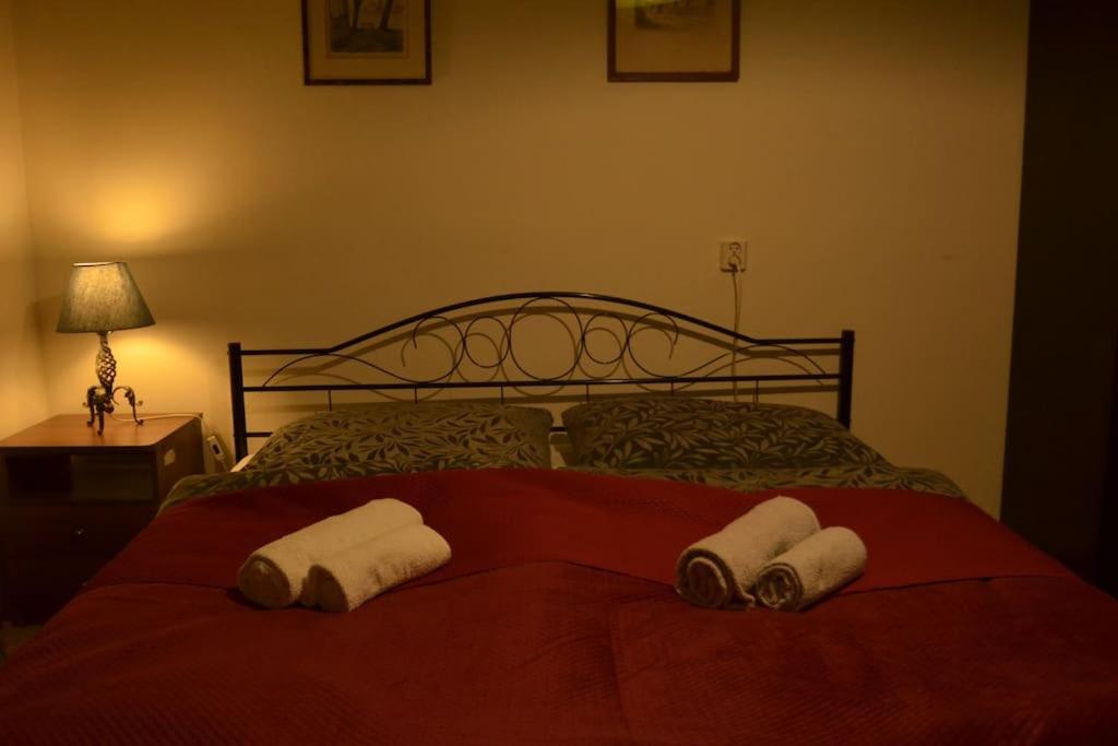 Ένα ή περισσότερα κρεβάτια σε δωμάτιο στο Retro Apartment Praha