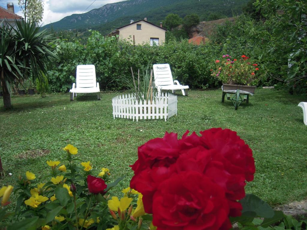 Lile Pestani Accommodation - Bungalow Di Famiglia