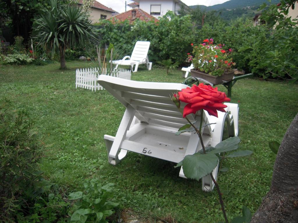 Lile Pestani Accommodation - Studio (3 Adulti)