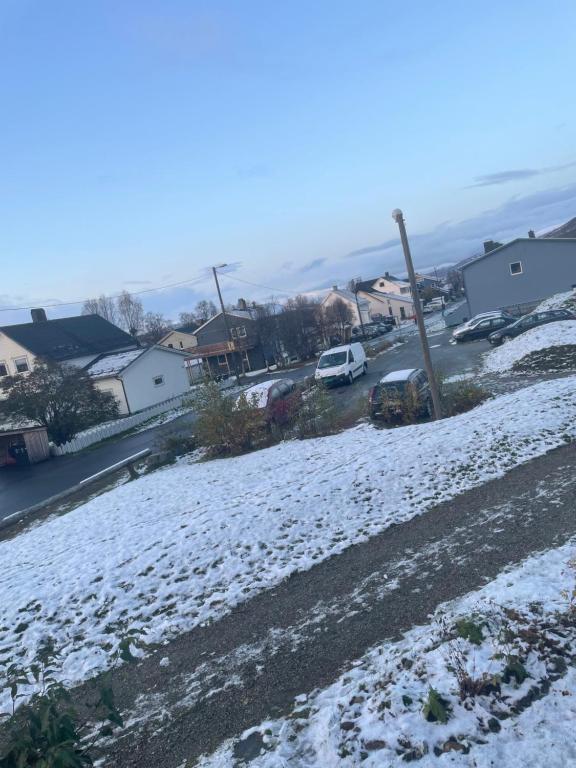 Příroda nedaleko apartmánu