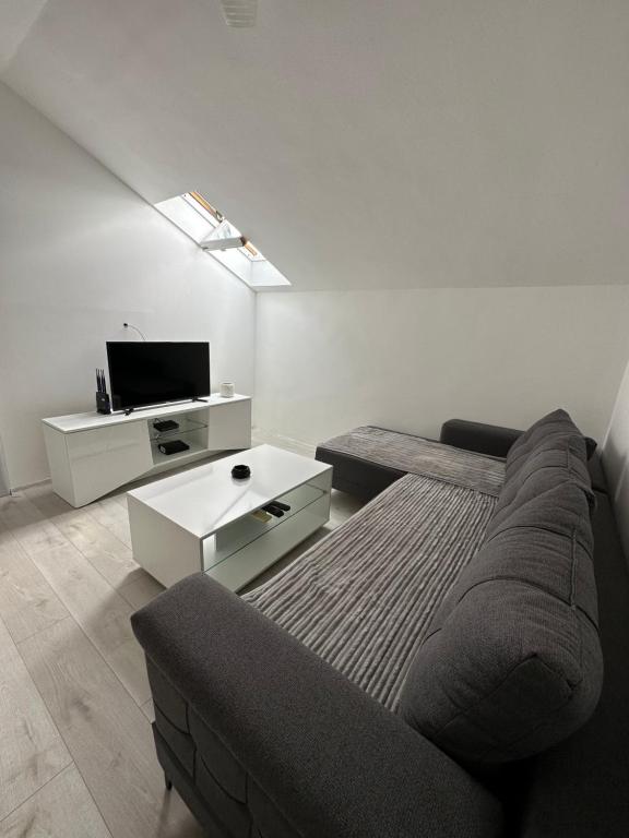 salon z kanapą i telewizorem w obiekcie Apartment Stari Aerodrom w mieście Podgorica