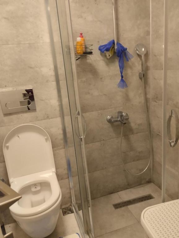 a bathroom with a shower and a toilet at Yalova in Çiftlikköy