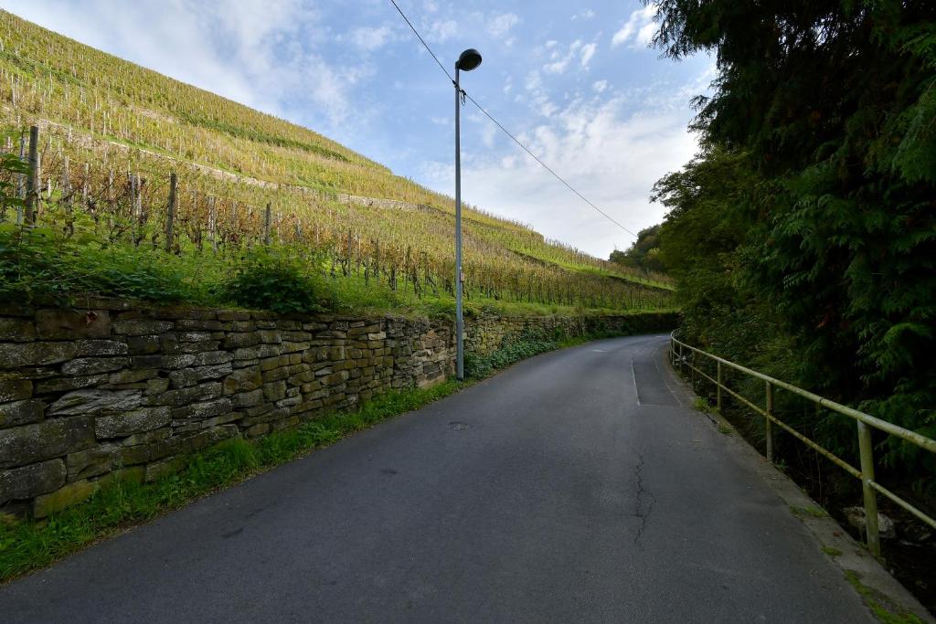 Naturlandschaft in der Nähe des Ferienhauses