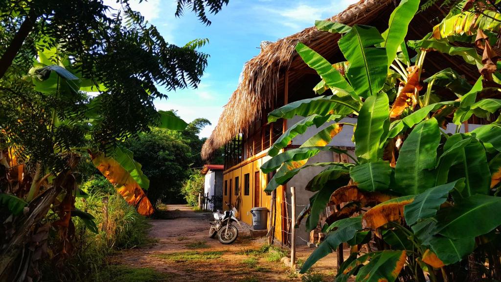 um edifício amarelo com um monte de folhas verdes em Casa Matilda - Palomino em Palomino