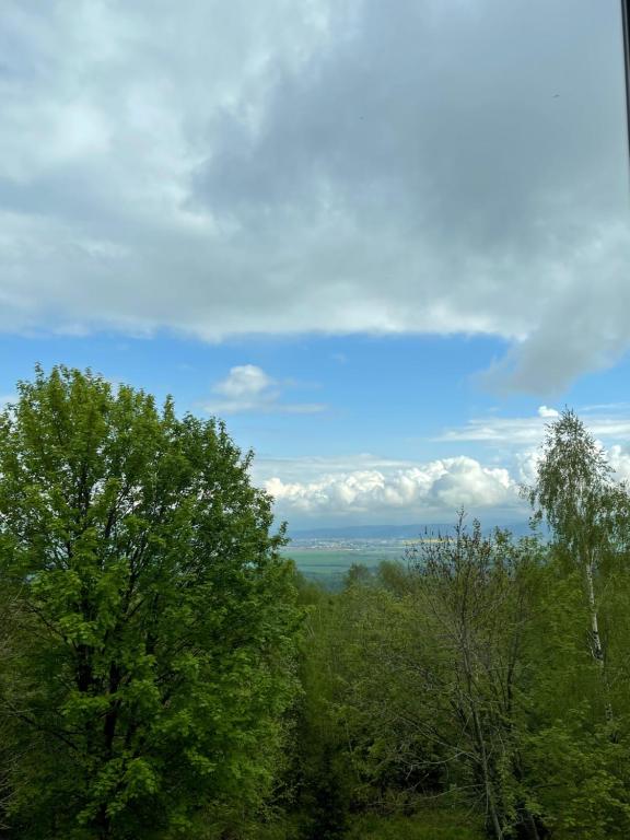 a view of trees and the ocean in the distance at MARMOT Mountain Apartment so saunou a hydromasážnou vaňou in Nový Smokovec
