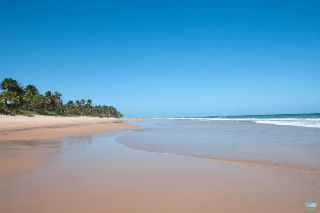 an empty beach with palm trees and the ocean at Recanto no jóia in Ilhéus