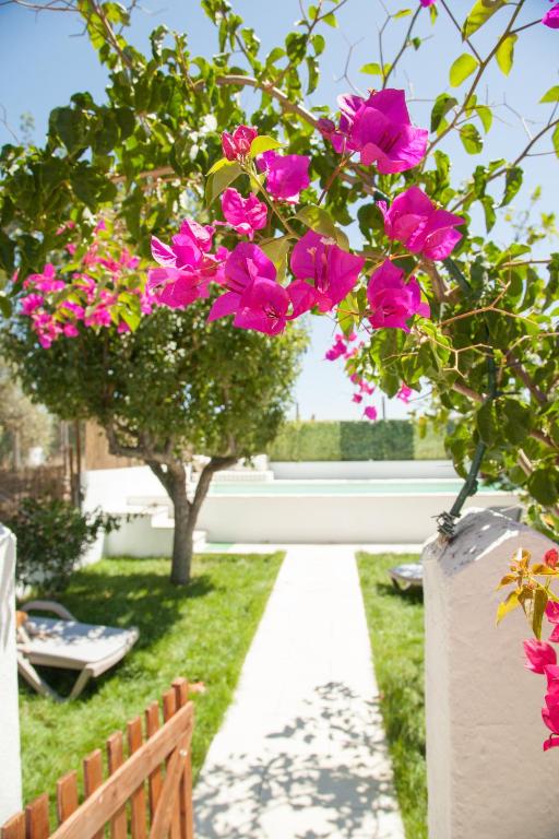 a bunch of pink flowers in a garden at Casa do Sossego in Igrejinha