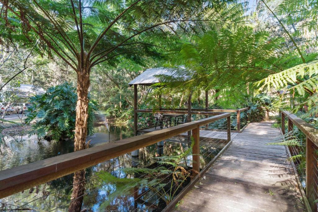 een houten loopbrug in een bos met bomen en water bij The Oasis at One Mile Beach in Nelson Bay