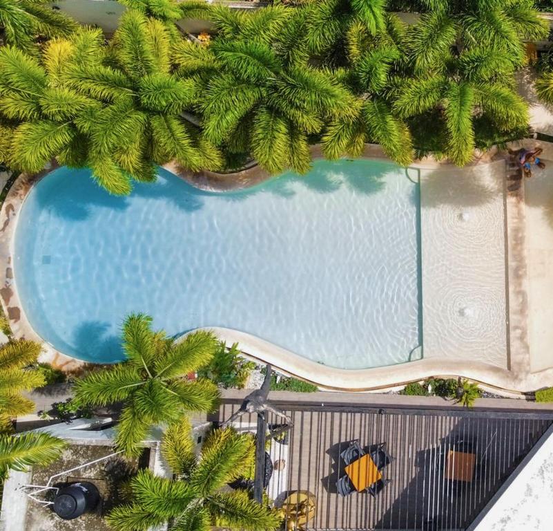 una vista aérea de una piscina con palmeras en Hotel & Suites Country, en Valladolid