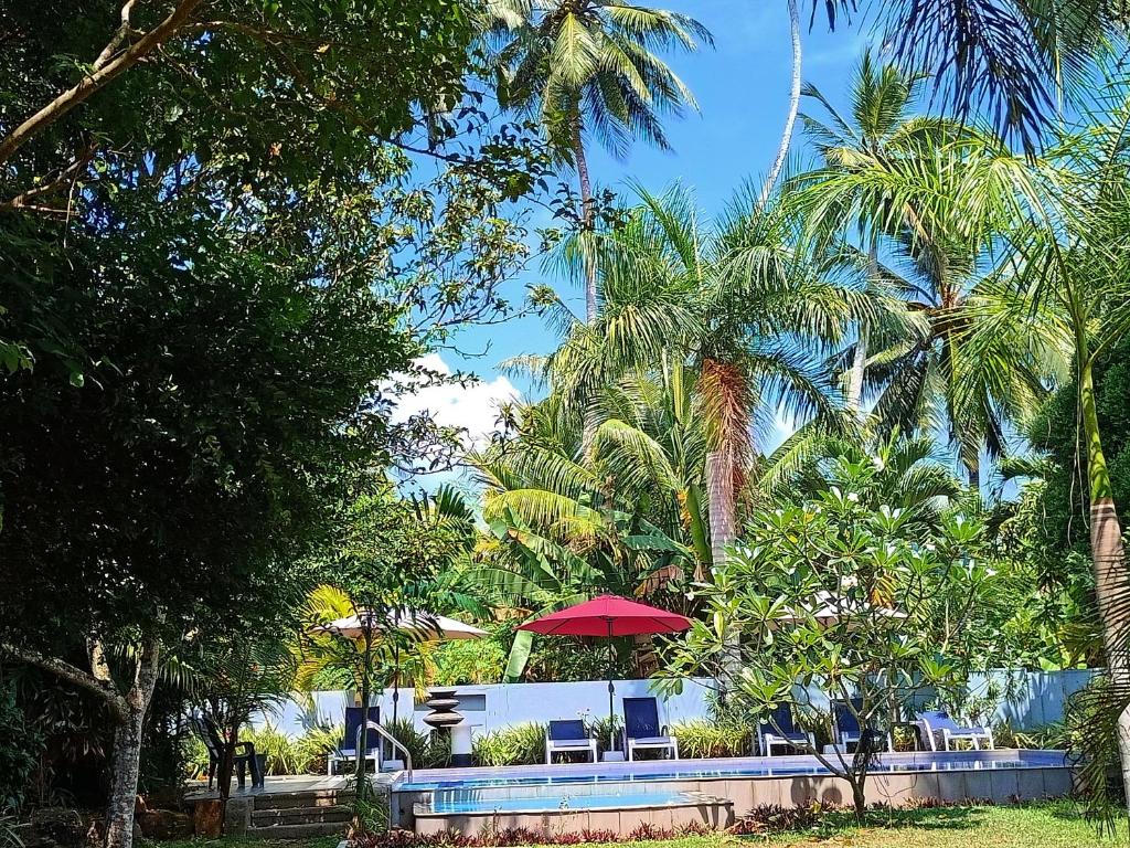 einen Pool mit Stühlen, einem roten Regenschirm und Palmen in der Unterkunft Hikka Villa in Hikkaduwa