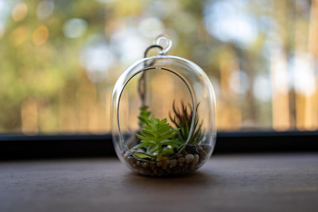 a glass jar with a plant in it on a table at Apartman Maska in Zlatibor