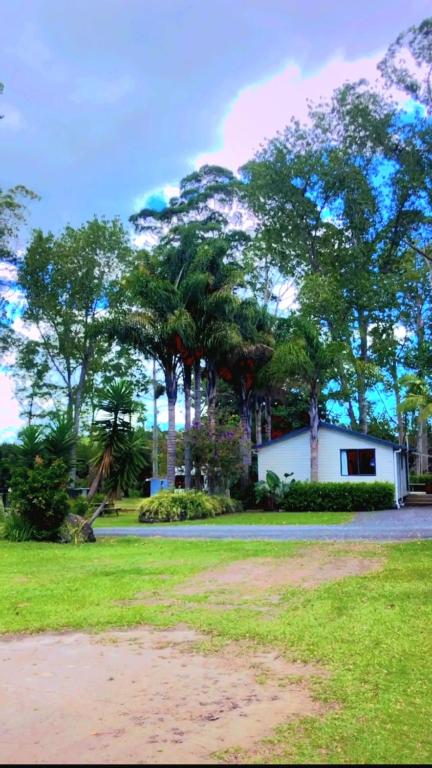 Bay of Islands Holiday Park - Resim 33