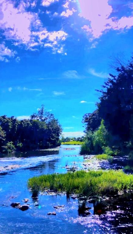 Bay of Islands Holiday Park - Resim 37