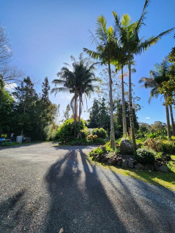 Bay of Islands Holiday Park - Resim 38