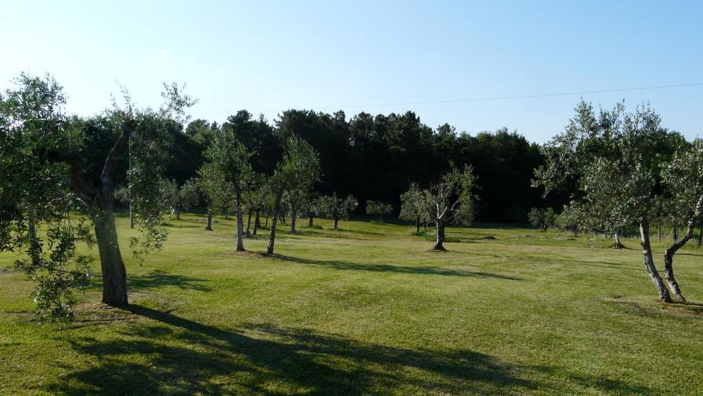 Vonkajšia záhrada v ubytovaní Villa Pian De Noci - Tenuta del Palagio