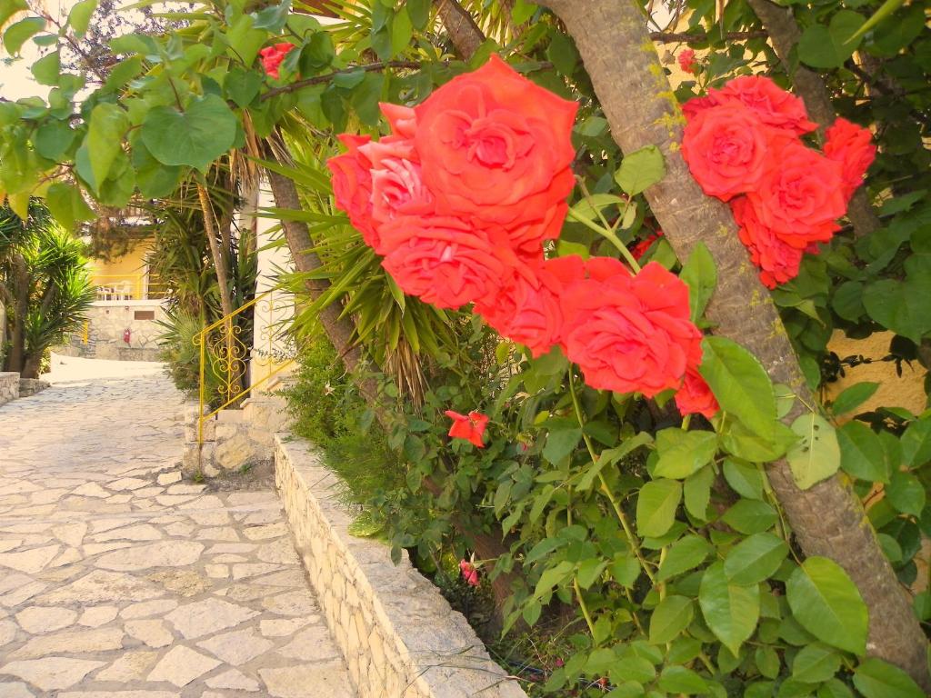 Giardino di Mirabelle Hotel