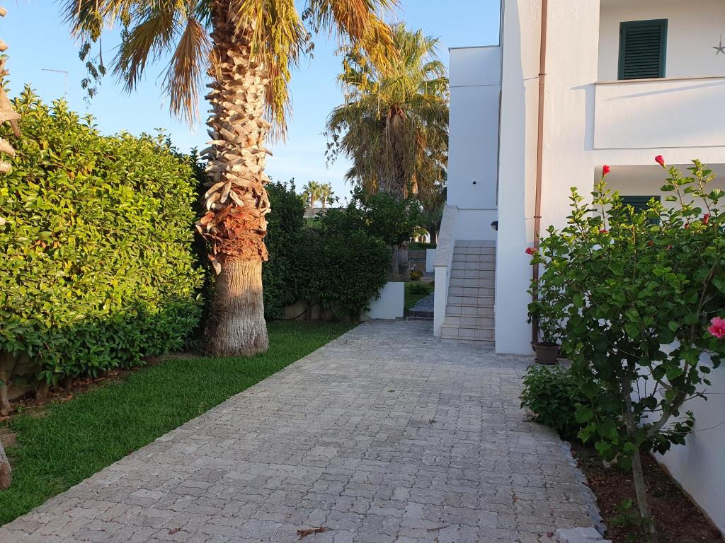 a palm tree next to a house with a sidewalk at Casa vacanze Elisio in Torre dell'Orso