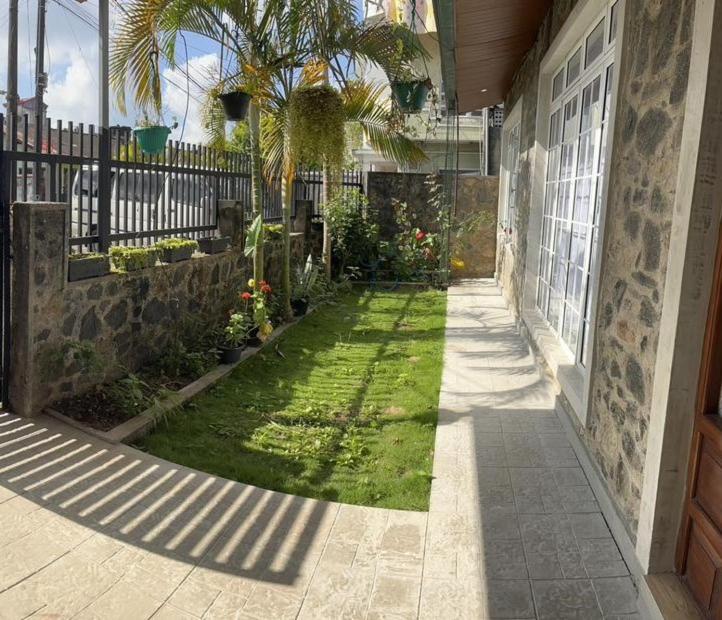 a courtyard with a palm tree and a building at Tailors Cottage in Hatton