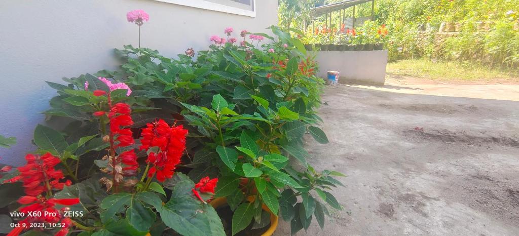 Giardino di Hotel TAMU ilam